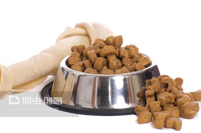 寵物食品 科學喂養與健康選擇