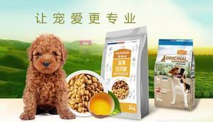 中國十大寵物食品品牌榜中榜 科學喂養，從選對主糧與零食開始